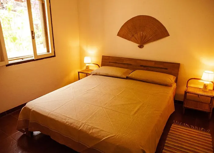 فيلة Arianna بارغيليا